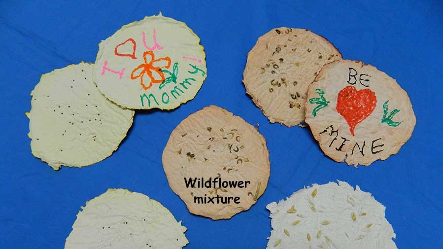 Make seed paper